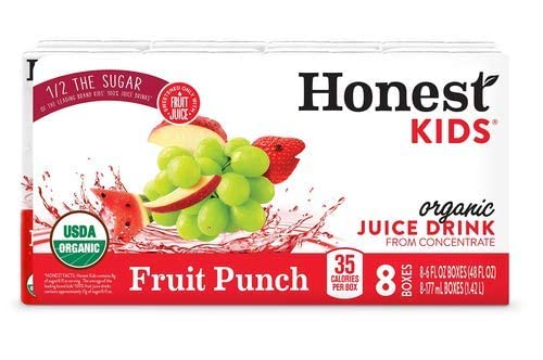 Honest Kids Organic Fruit Punch Juice Drink - 8pk/6 Fl Oz Boxes (Pack of 2)