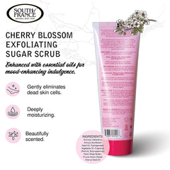 Cherry Blossom Hand & Body Sugar Polish by South of France Clean Body Care | Moisturizing Sugar Scrub for Women | Shea Butter + Sunflower Oil | 8 oz Tube